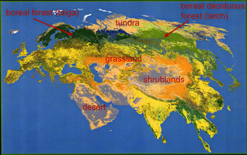 Mapa de Eurasia por biomas