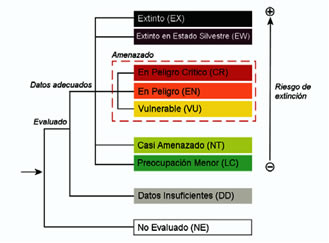 Gráfico