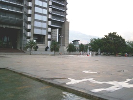 Medellín y su oso