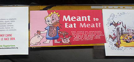 ¿Hecho para comer carne?