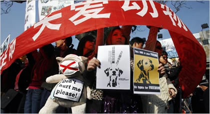 Protestas de dueños de perros en Pekín el 11.11.2006 (Claro Cortes IV/Reuters)