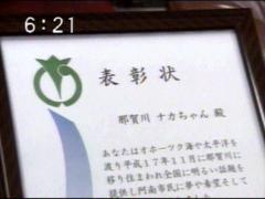 "Ciudadana honoraria especial" (Foto: Shikoku Broadcasting)