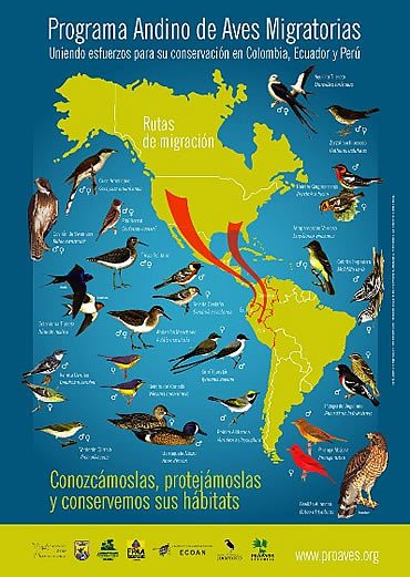 Afiche del Festival de Aves Migratorias de 2006 (Proaves)