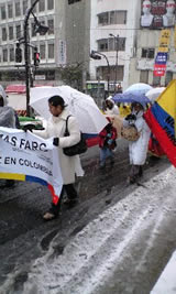 Marcha en Tokio