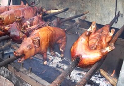 Puerco en puya Puerco en puya