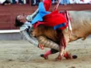 Toro cornea a un torero