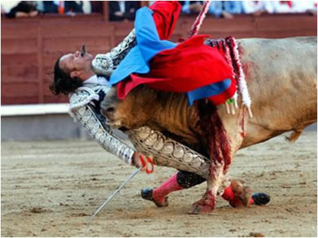 Toro cornea a un torero