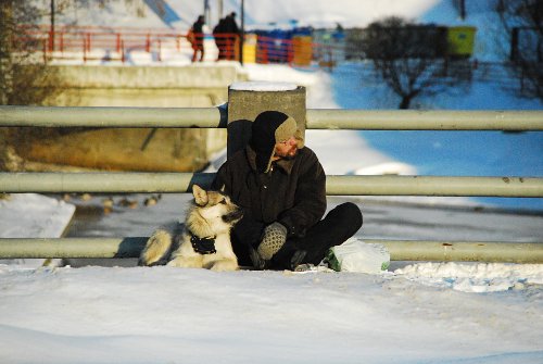 Un hombre con un perro siberiano Un hombre con un perro siberiano